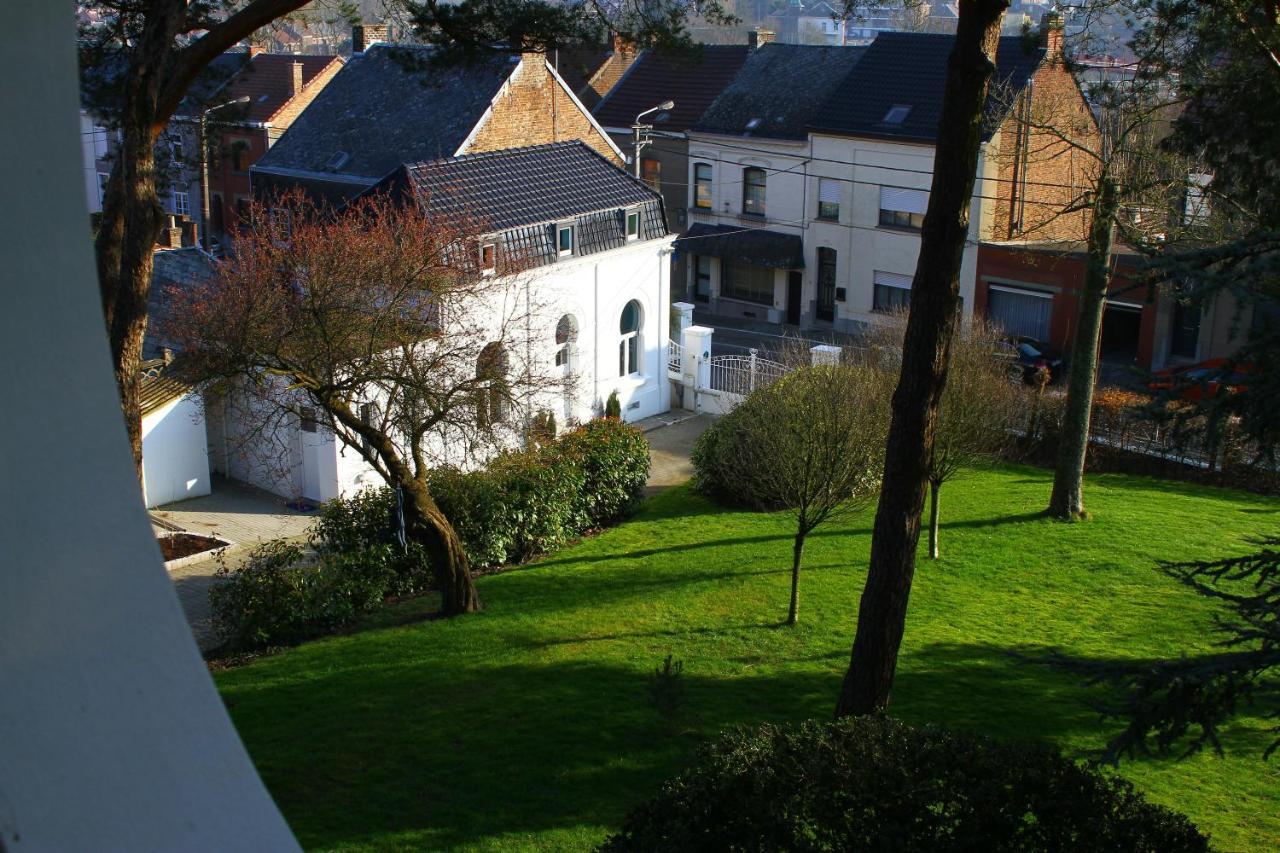 Gite De La Conciergerie Du Cheval Blanc Luttre Buitenkant foto