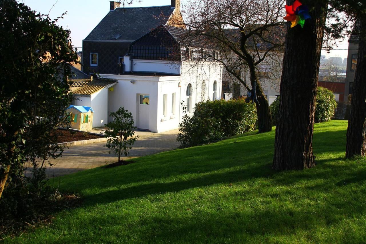 Gite De La Conciergerie Du Cheval Blanc Luttre Buitenkant foto